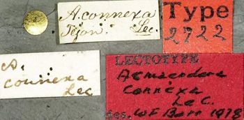 Media type: image;   Entomology 2722 Aspect: labels